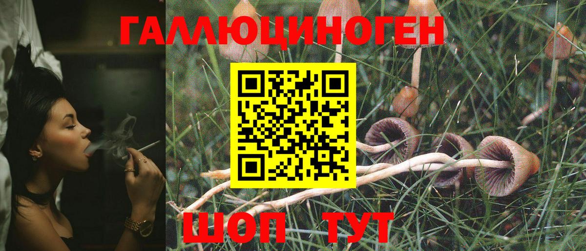 Галлюциногенные грибы GOLDEN TEACHER  Вход с VPN  Туймазы  Псилоцибиновые грибы Psilocybe 